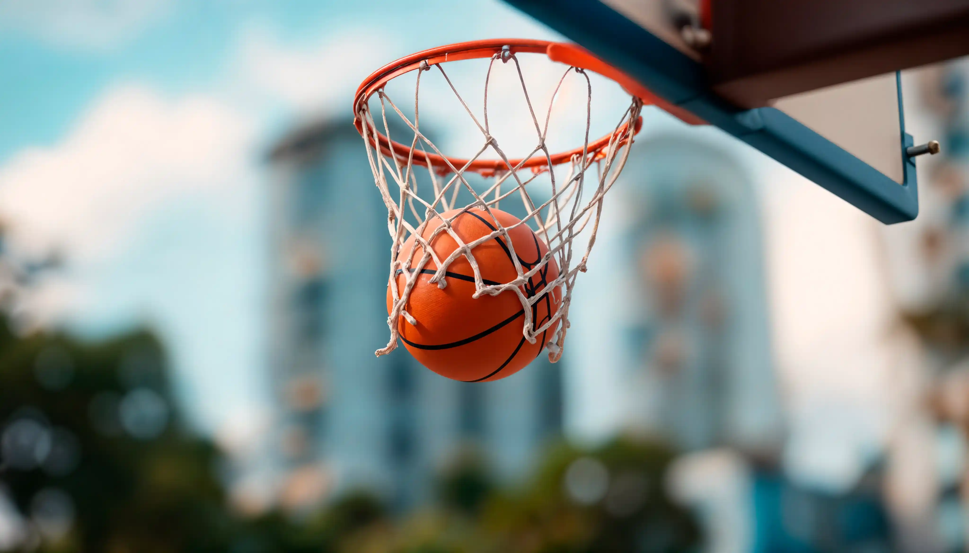 Basketball Training Process